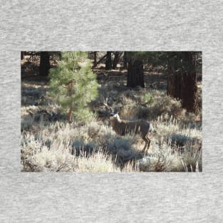 Deer, Wildlife, Mule Deer, Buck, Nature, Gifts T-Shirt